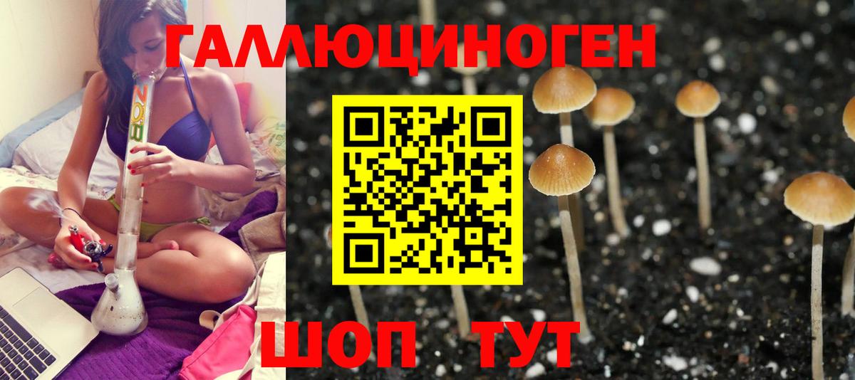 Туапсе  Галлюциногенные грибы Magic Shrooms  Вход с VPN 
